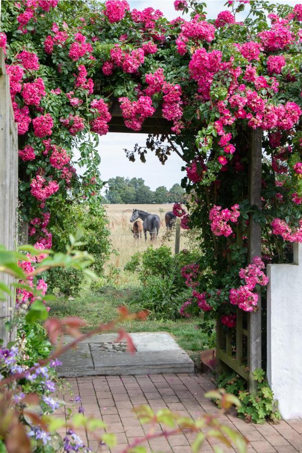 Villa Verde Oesterlen Glemminge ภายนอก รูปภาพ